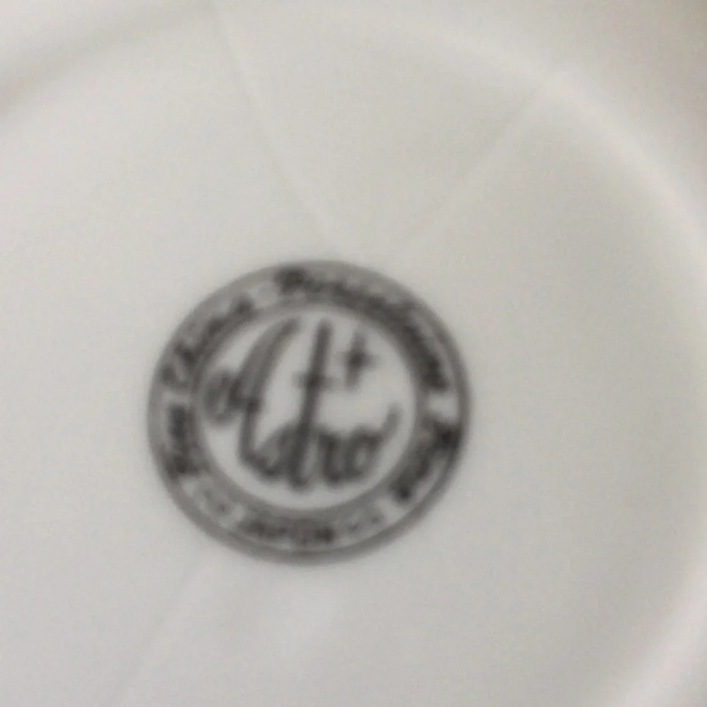 Sophisticated White and Blue Cup & Saucer